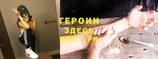 индика Алексин