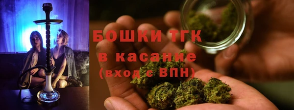 индика Алексин