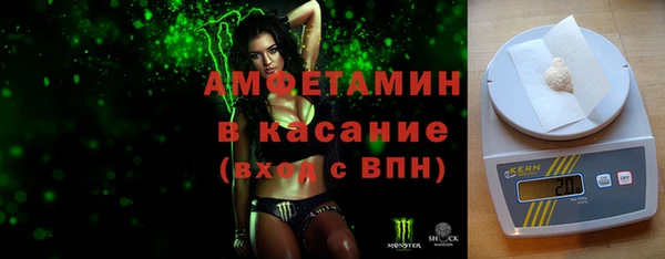 индика Алексин