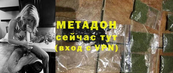 индика Алексин
