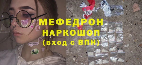индика Алексин