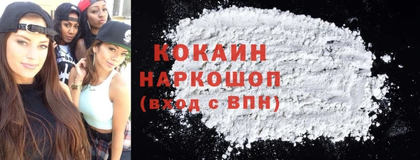 индика Алексин