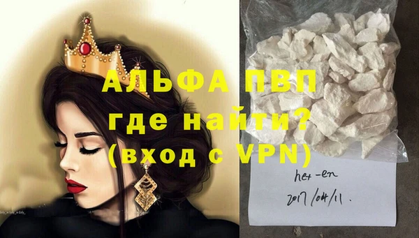 индика Алексин