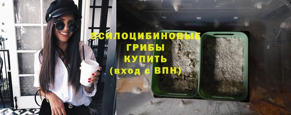 индика Алексин