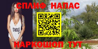гидра Нарткала