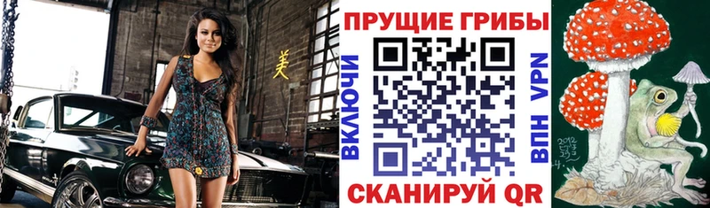 Галлюциногенные грибы мицелий  Георгиевск 