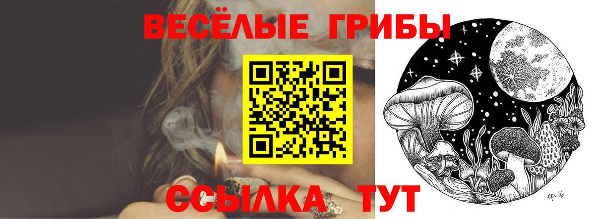 Георгиевск  Галлюциногенные грибы GOLDEN TEACHER  Галлюциногенные грибы Cubensis  Вход с VPN 