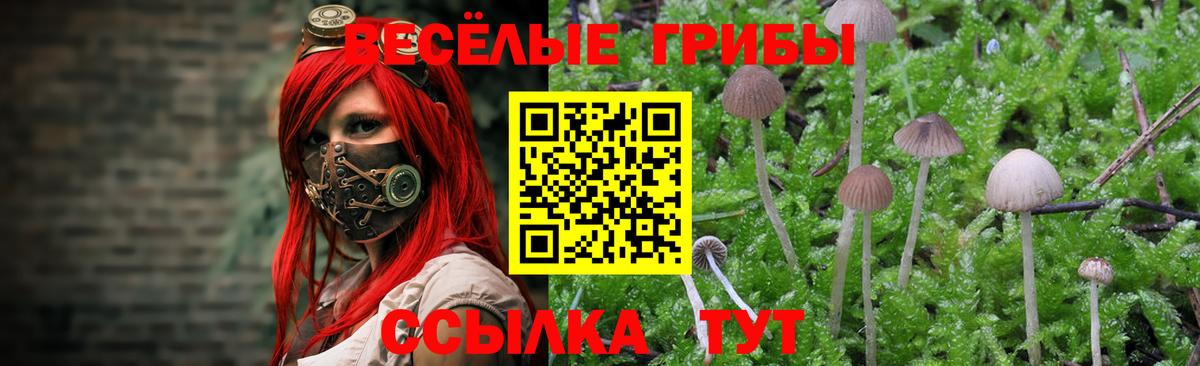 Галлюциногенные грибы ЛСД Георгиевск
