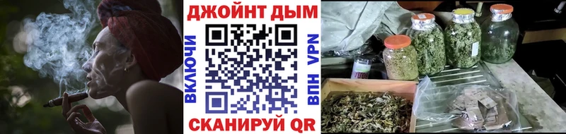 Бошки Шишки планчик  Георгиевск 